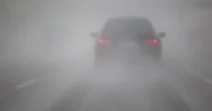 back of a car driving through thick fog